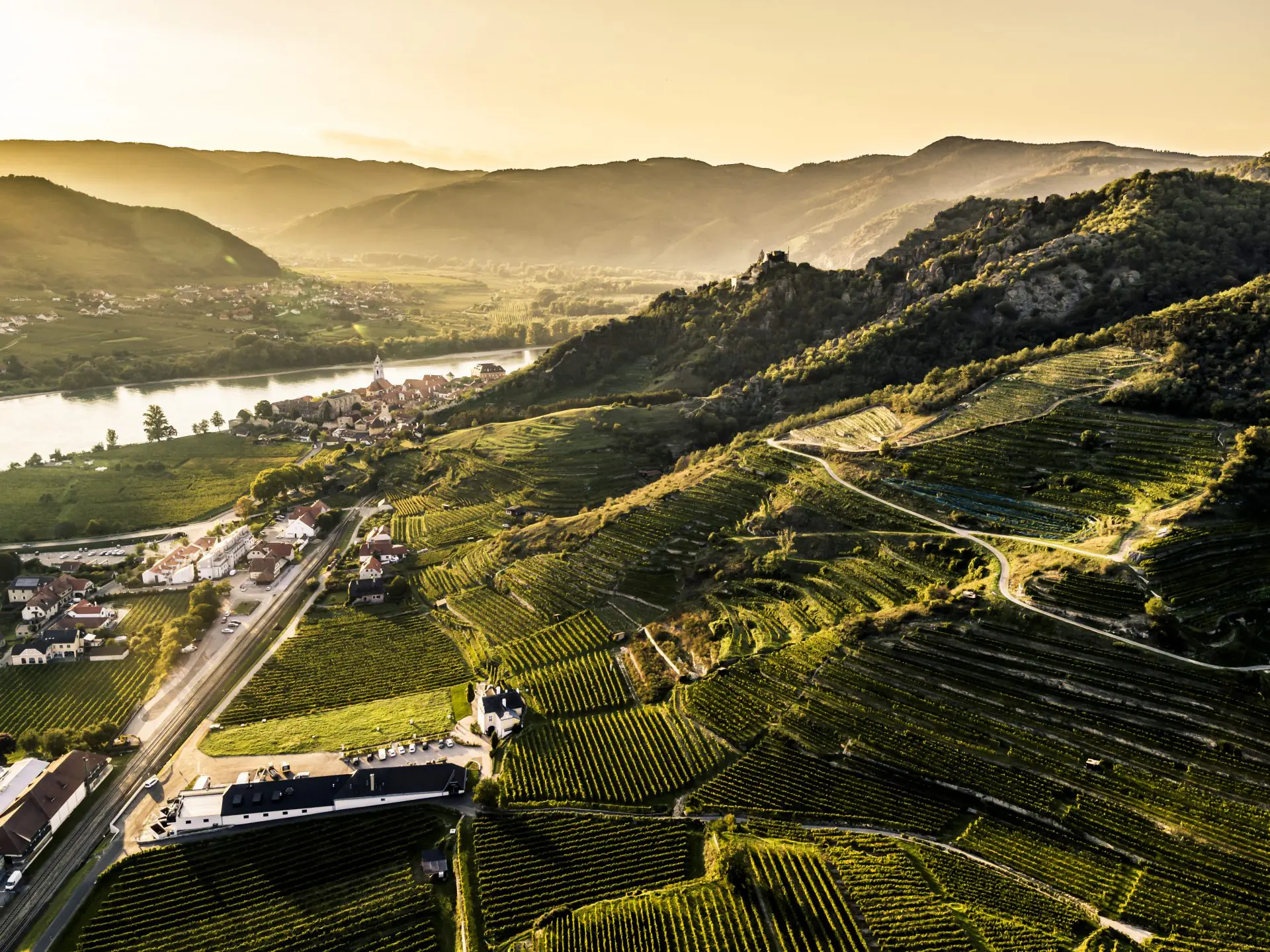 Weinberge in Österreich, Wachau – Herkunft der Domäne Wachau Weine