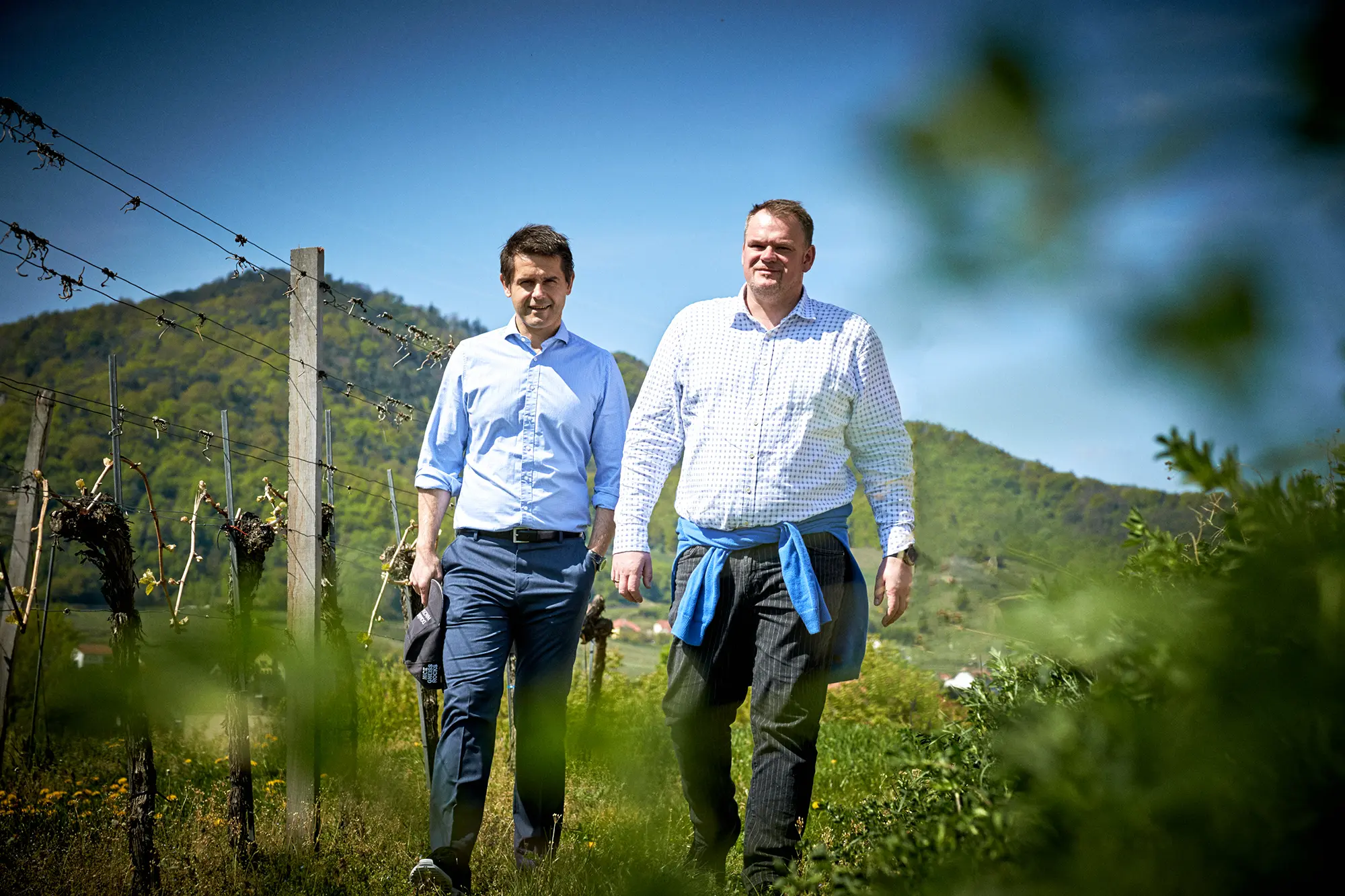 Winzer des Weingut Domäne Wachau in Österreich, Wachau