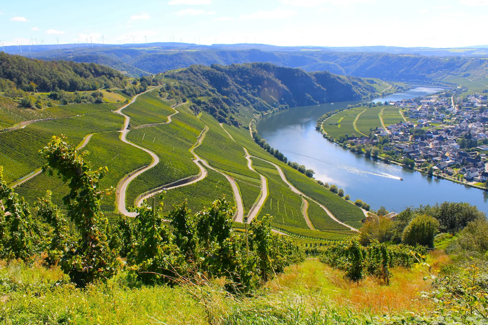 Weinberge in Deutschland, Mosel – Herkunft der Dr. Leimbrock Weine