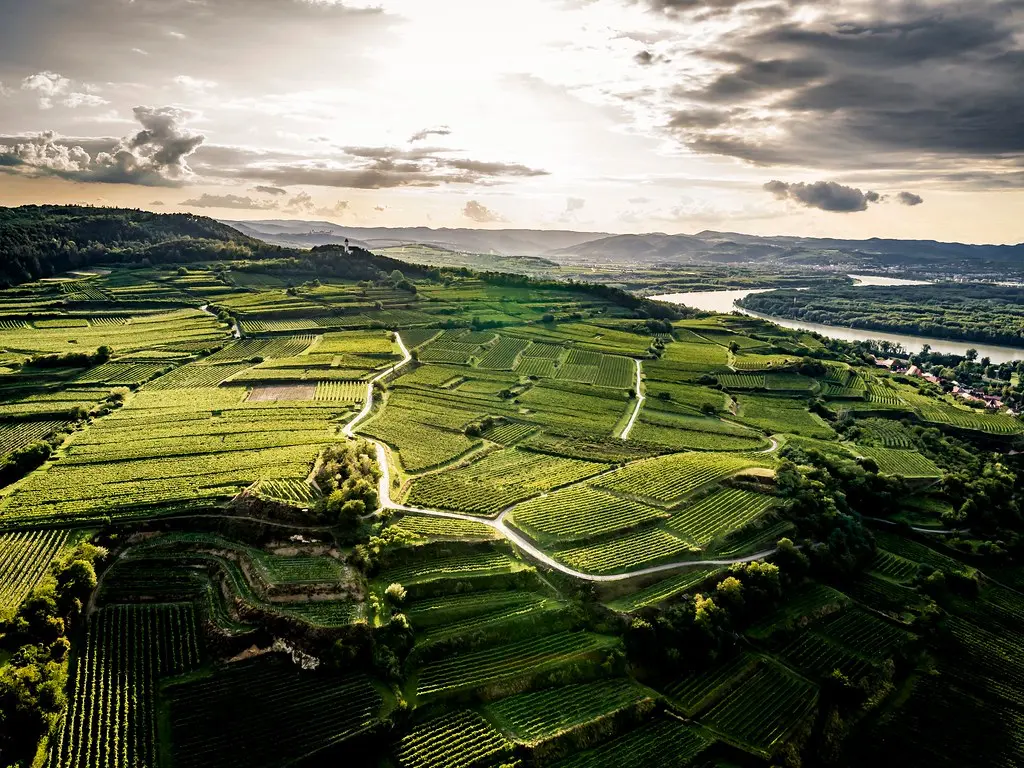 Weinberge in Österreich, Kremstal – Herkunft der Weingut Forstreiter Weine