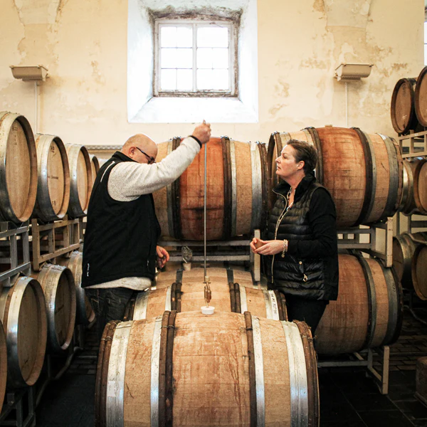 Winzer des Weingut Fürst Löwenstein in Germany, Franconia
