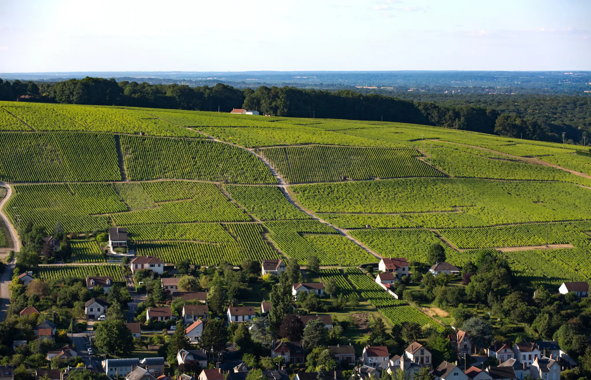 Weinberge in Österreich, Weinviertel – Herkunft der Weingut Harald Haimer Weine