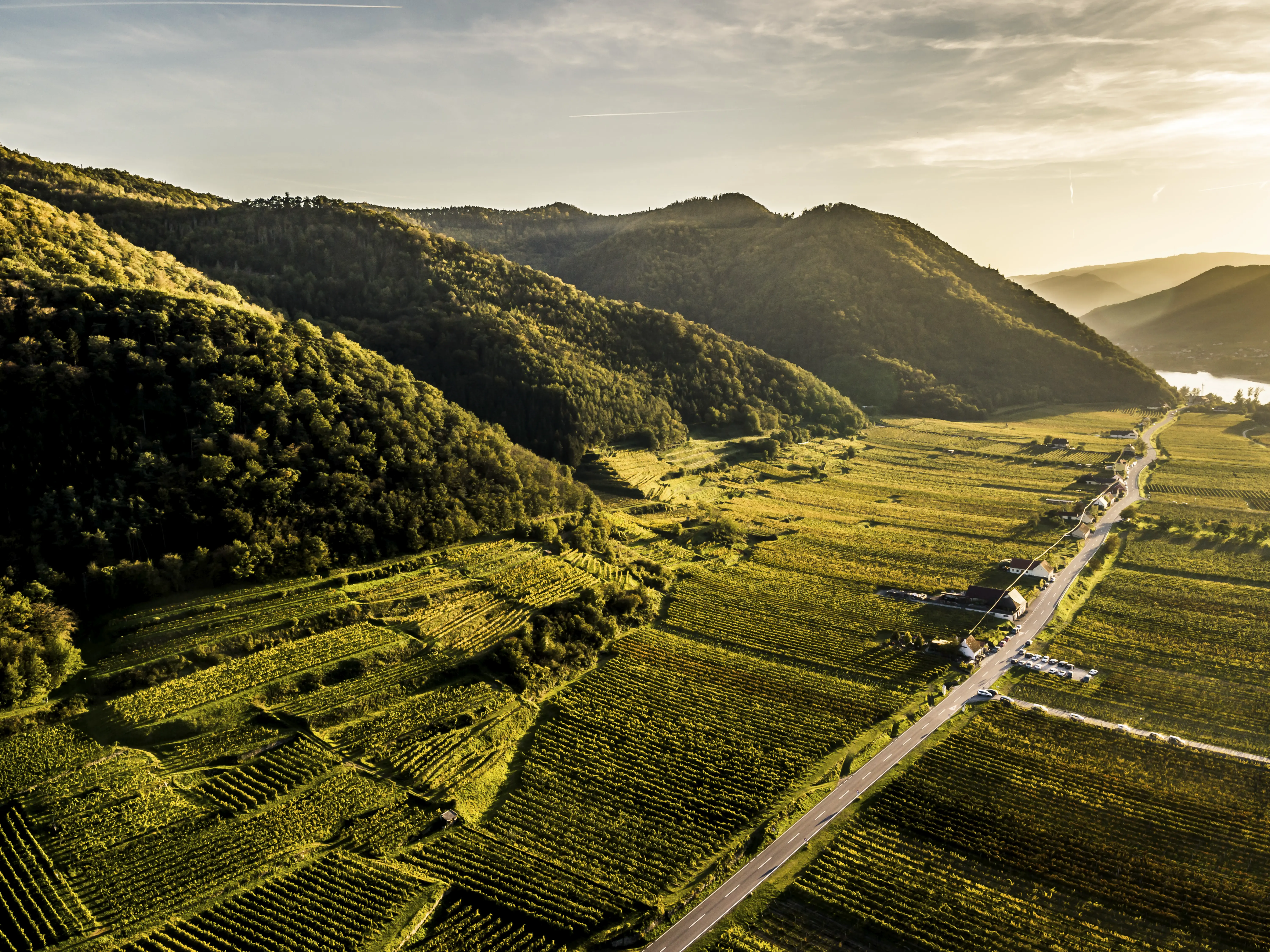 Weinberge in Österreich, Wachau – Herkunft der Weingut Josef Fischer Weine