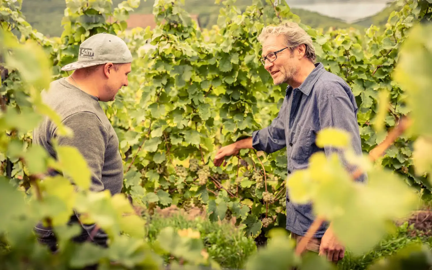 Winzer des Weingut Loewenthal in Deutschland, Pfalz
