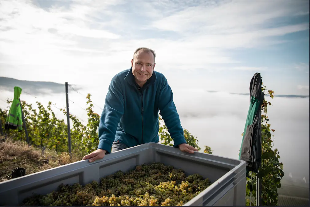 Winzer des Weingut Nik Weis St. Urbans-Hof in Deutschland, Mosel