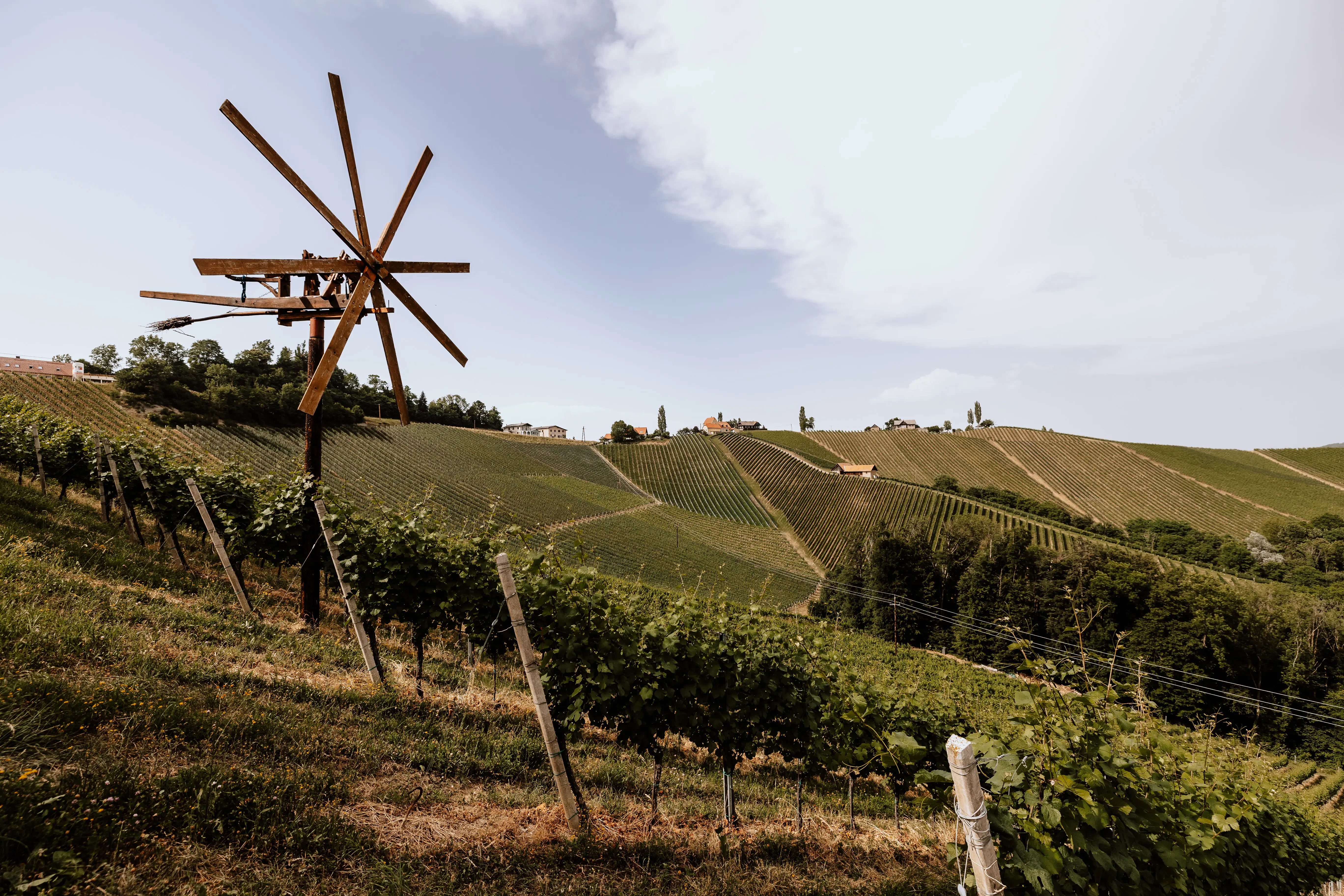 Weinberge in Österreich, Steiermark – Herkunft der Repolusk Weine