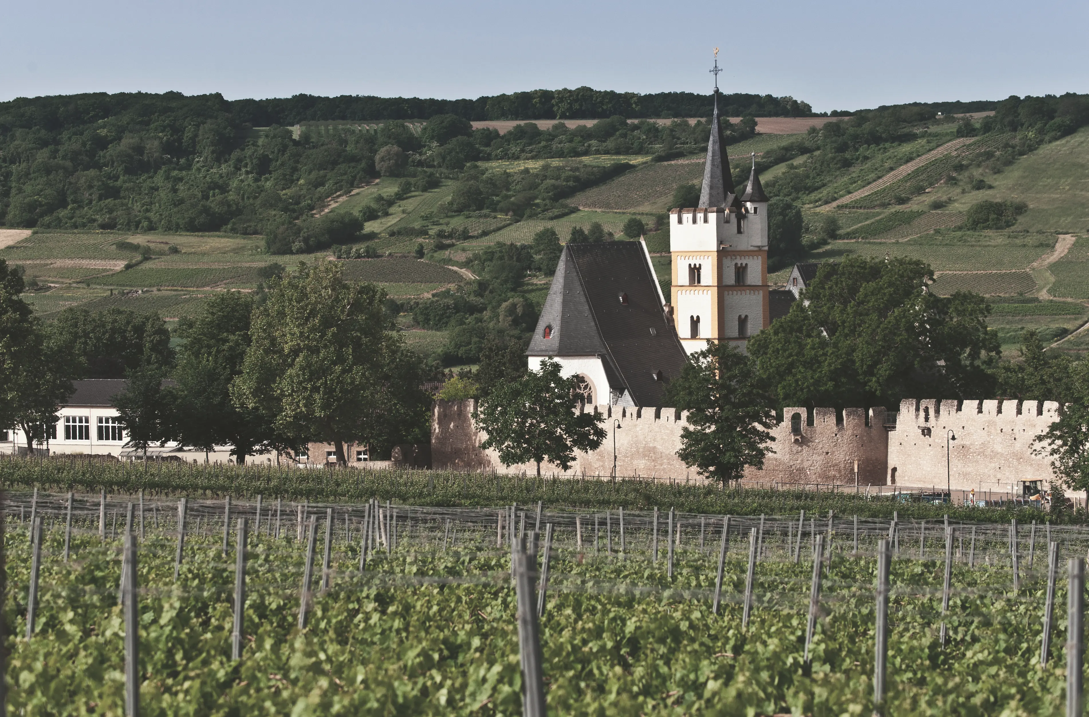 Weinberge in Deutschland, Rheinhessen – Herkunft der Weingut J.Neus Weine