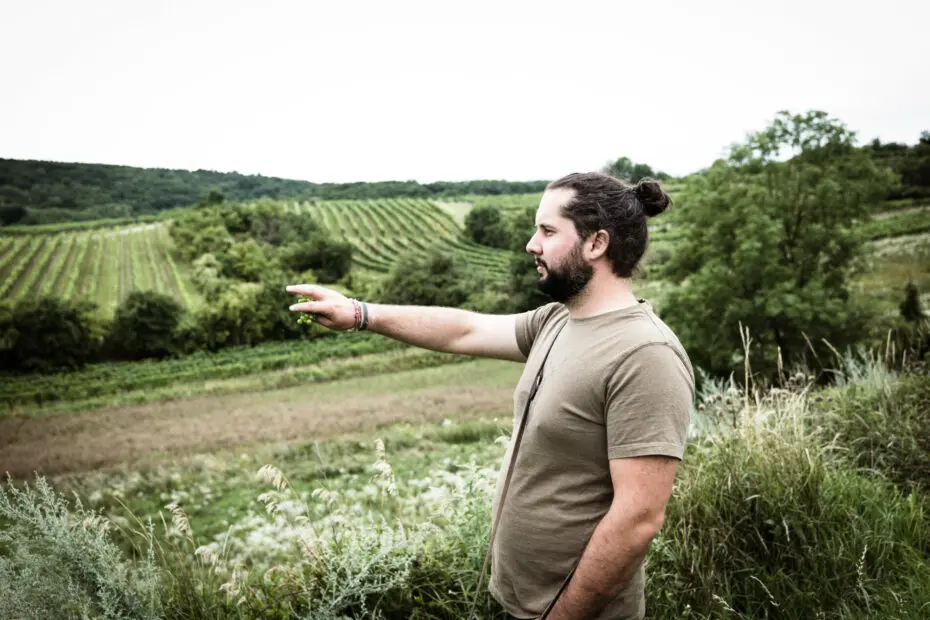 Winzer des Weingut Martin Obenaus in Österreich, Weinviertel
