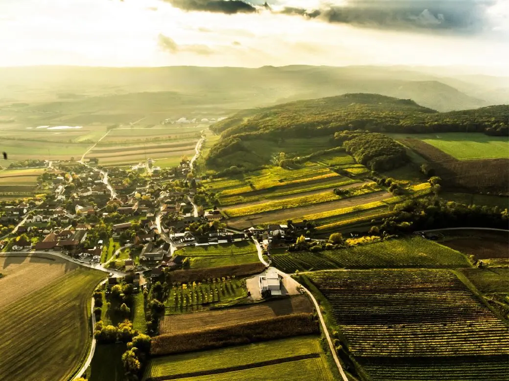 Weinberge in Österreich, Traisental – Herkunft der Weingut Steyrer Weine