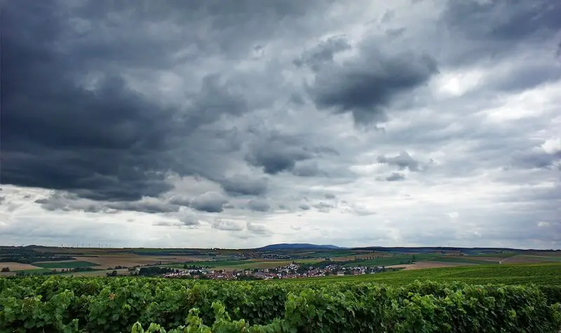 Weinberge in Deutschland, Rheinhessen – Herkunft der Weingut Wildner Weine