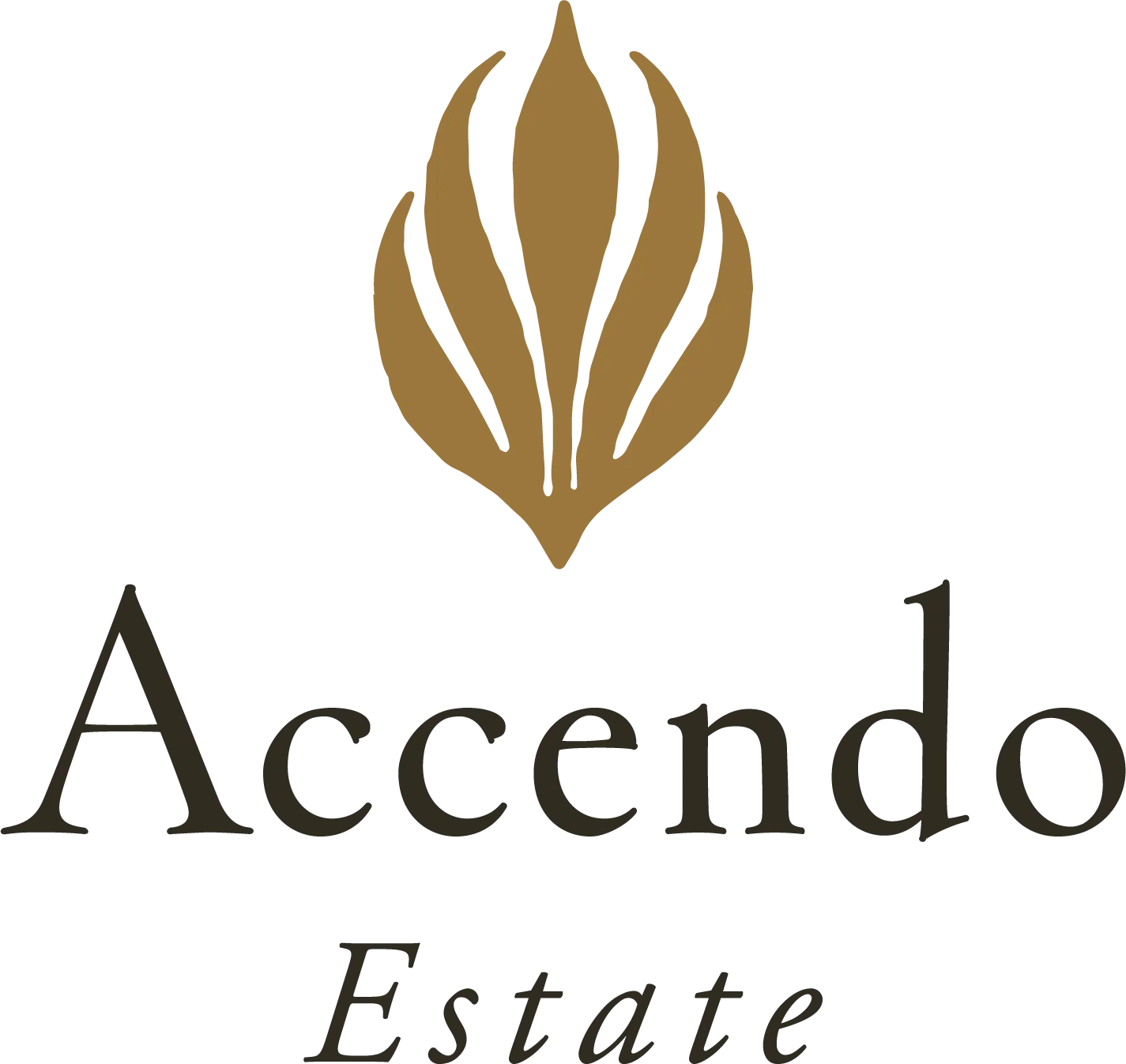 Logo des Weinguts Accendo Cellars