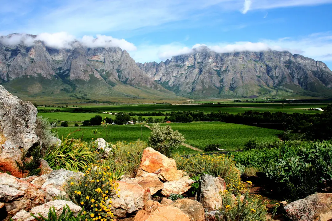 Weinberge in Südafrika, Cape Town – Herkunft der African Pride Wines Weine