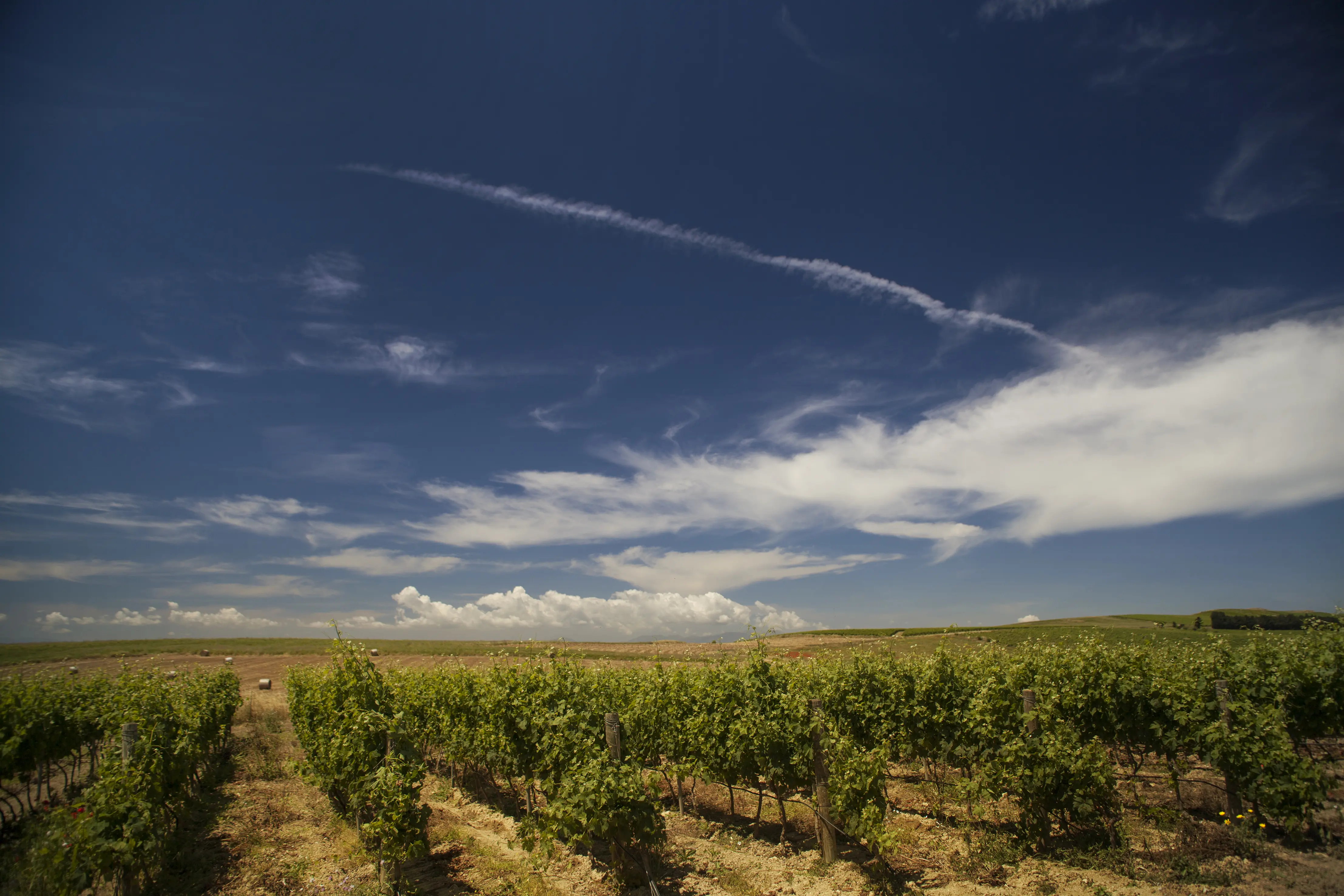 Weinberge in Italien, Sardinien – Herkunft der Argiolas Weine