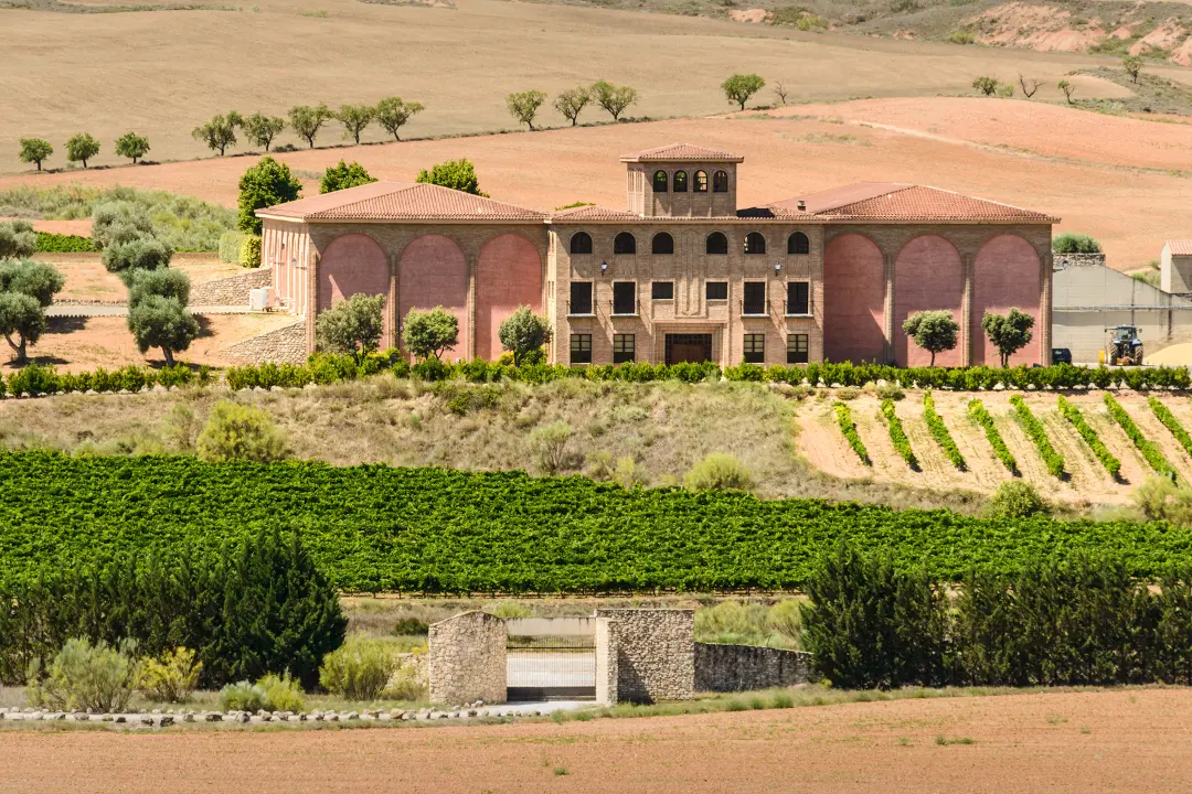 Weinberge in Spanien, Aragonien – Herkunft der Pago de Ayles Weine