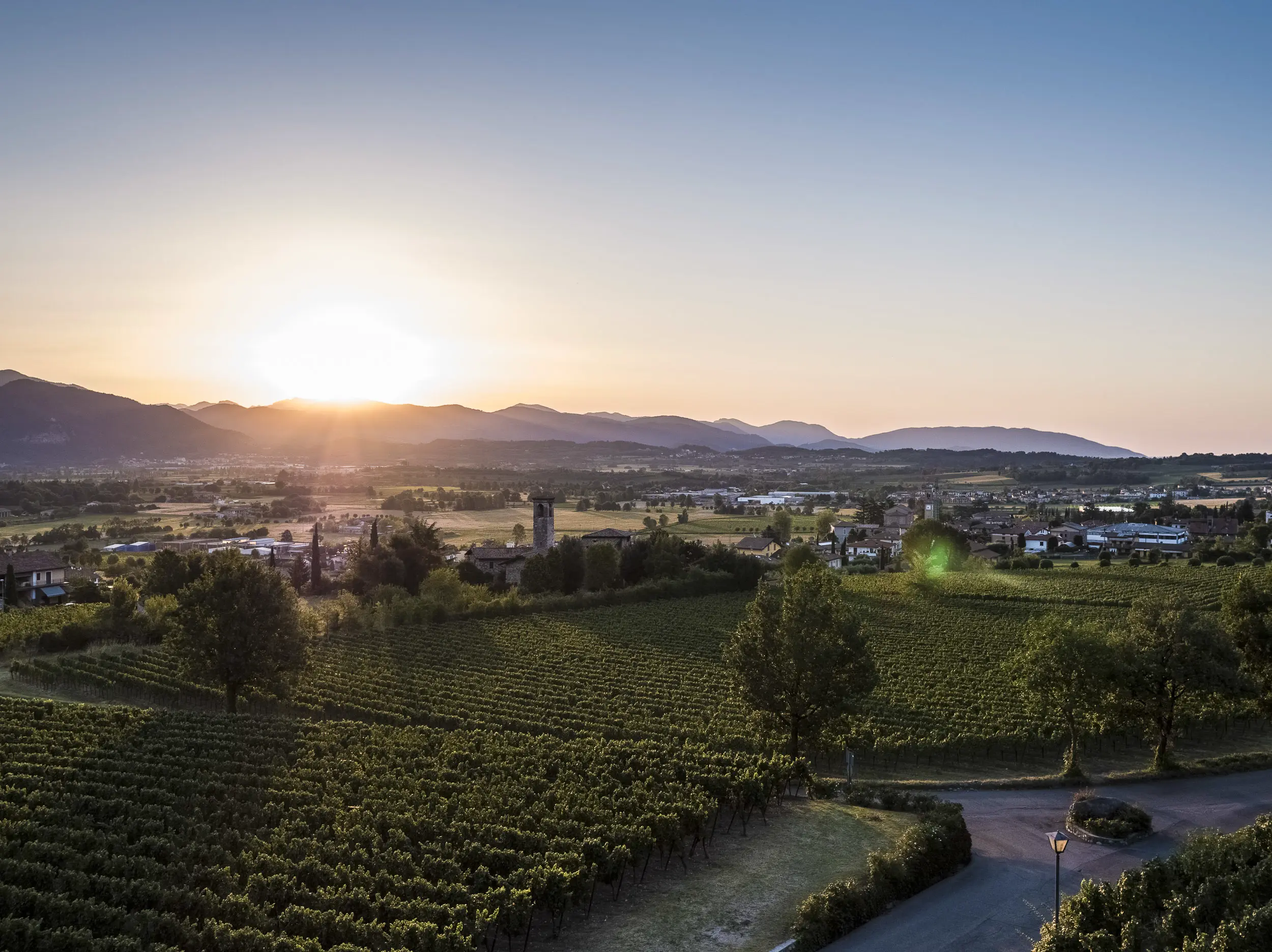 Weinberge in Italien, Lombardei – Herkunft der Bellavista Weine