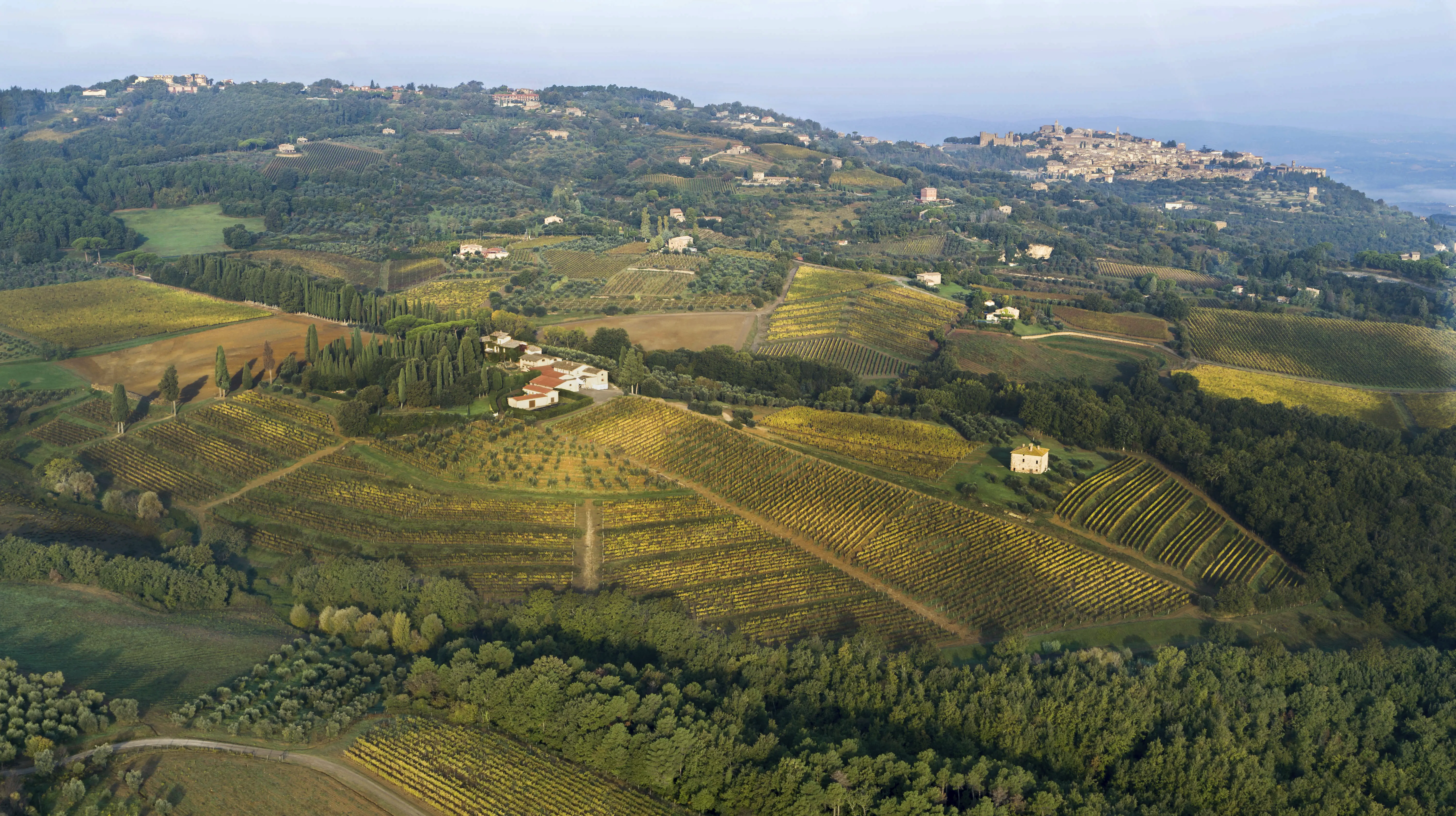 Weinberge in Italien, Toskana – Herkunft der Biondi Santi Tenuta Il Greppo Weine