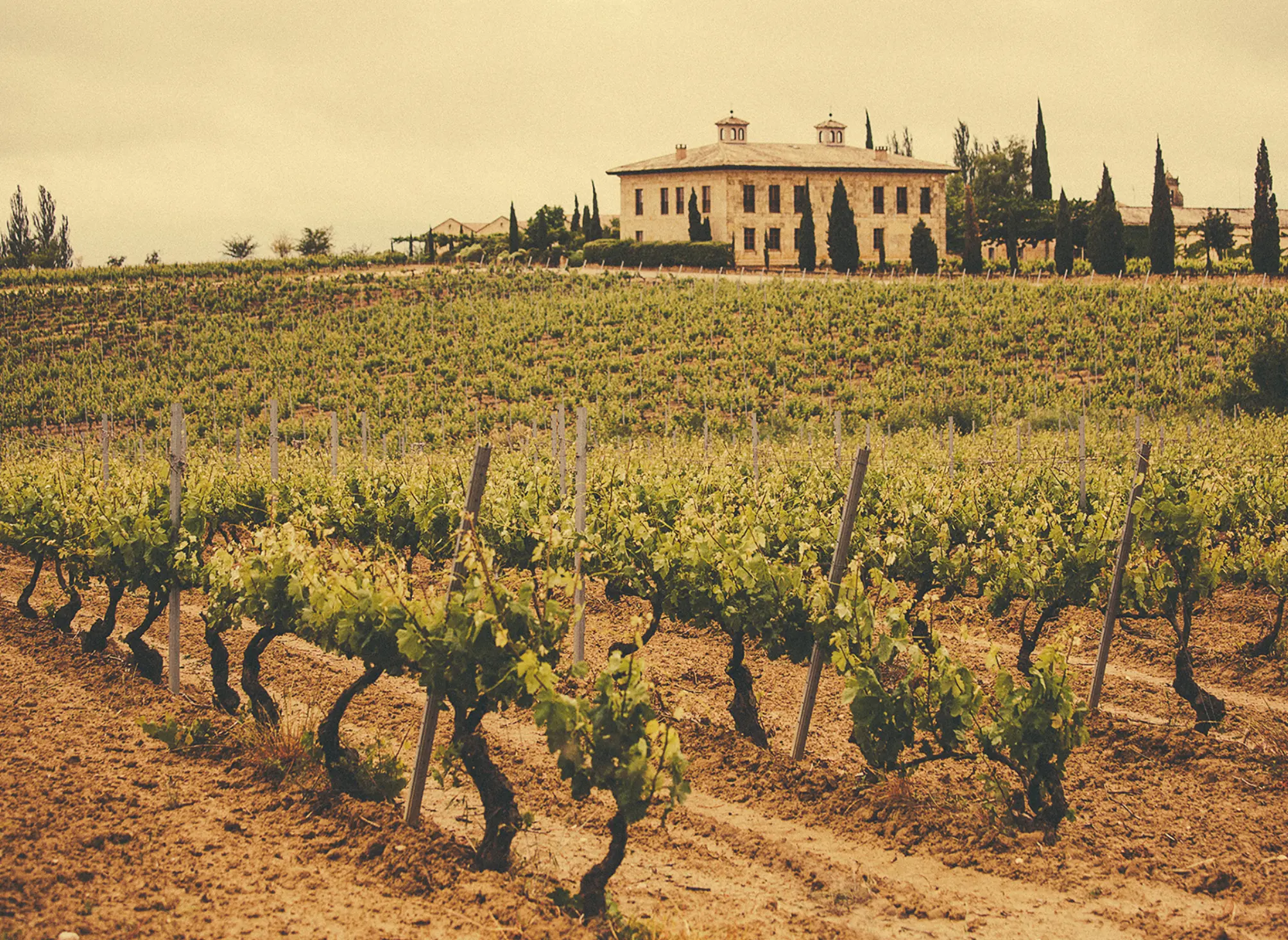 Weinberge in Spanien, Rioja – Herkunft der Bodegas Muga Weine