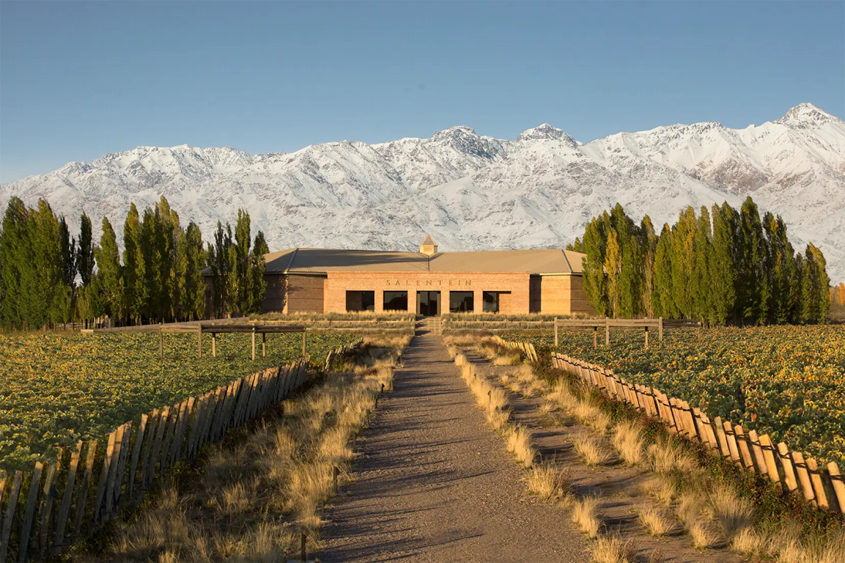 Weinberge in Argentinien, Mendoza – Herkunft der Bodegas Salentein Weine