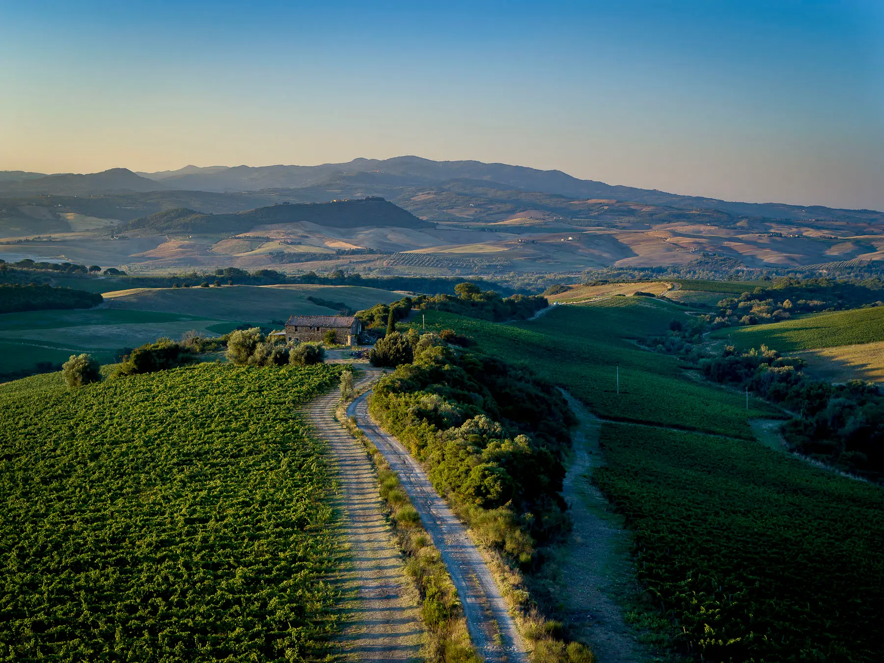 Weinberge in Italien, Toskana – Herkunft der Casanova di Neri Weine