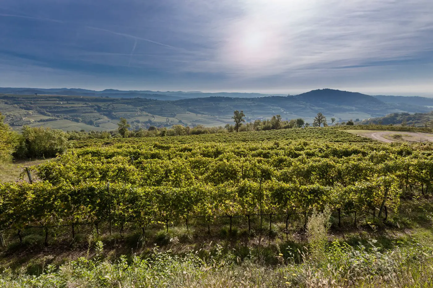 Weinberge in Italien, Venetien – Herkunft der Cavalchina Weine