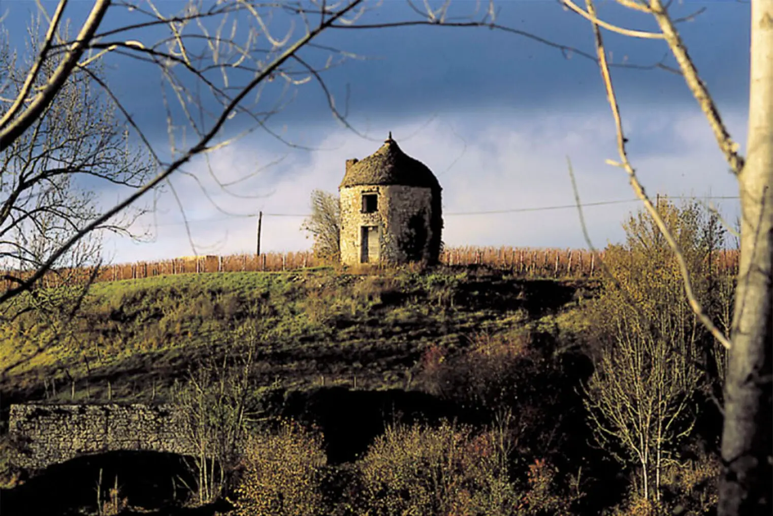 Weinberge in Frankreich, Burgund – Herkunft der Cave de Lugny Weine