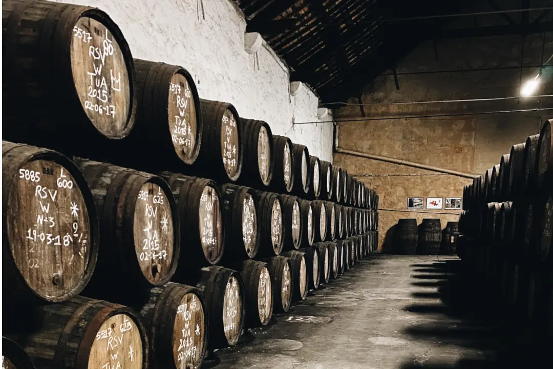 Weinberge in Portugal, Douro – Herkunft der Churchill´s Weine