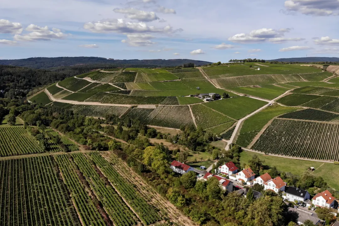 Weinberge in Deutschland, Rheingau – Herkunft der Weingut Dr. Corvers-Kauter Weine