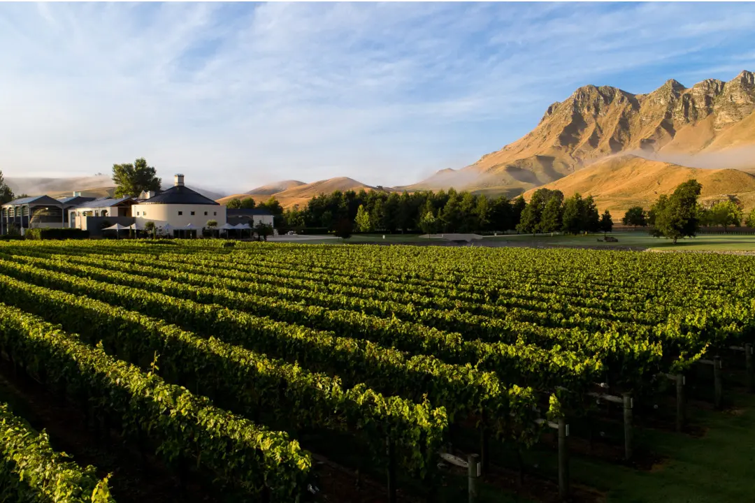 Weinberge in Neuseeland, Hawke's Bay – Herkunft der Craggy Range Weine