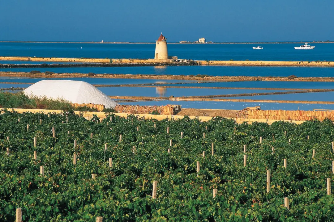 Weinberge in Italien, Sizilien – Herkunft der Cusumano Weine
