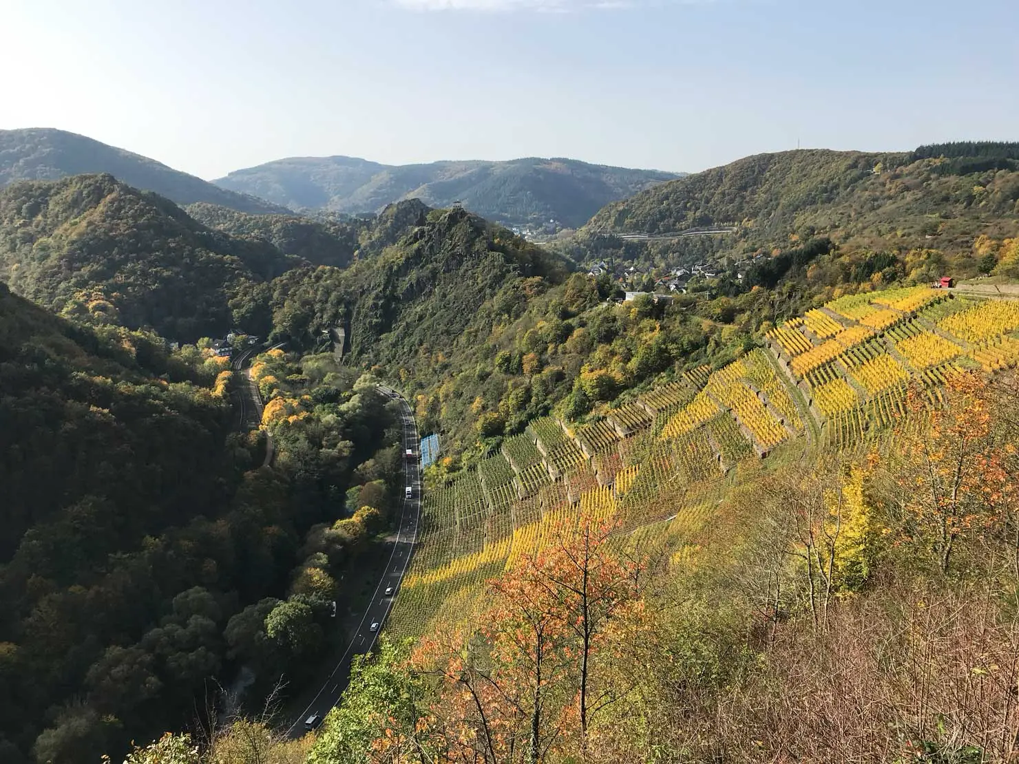 Weinberge in Deutschland, Ahr – Herkunft der Weingut Deutzerhof Weine