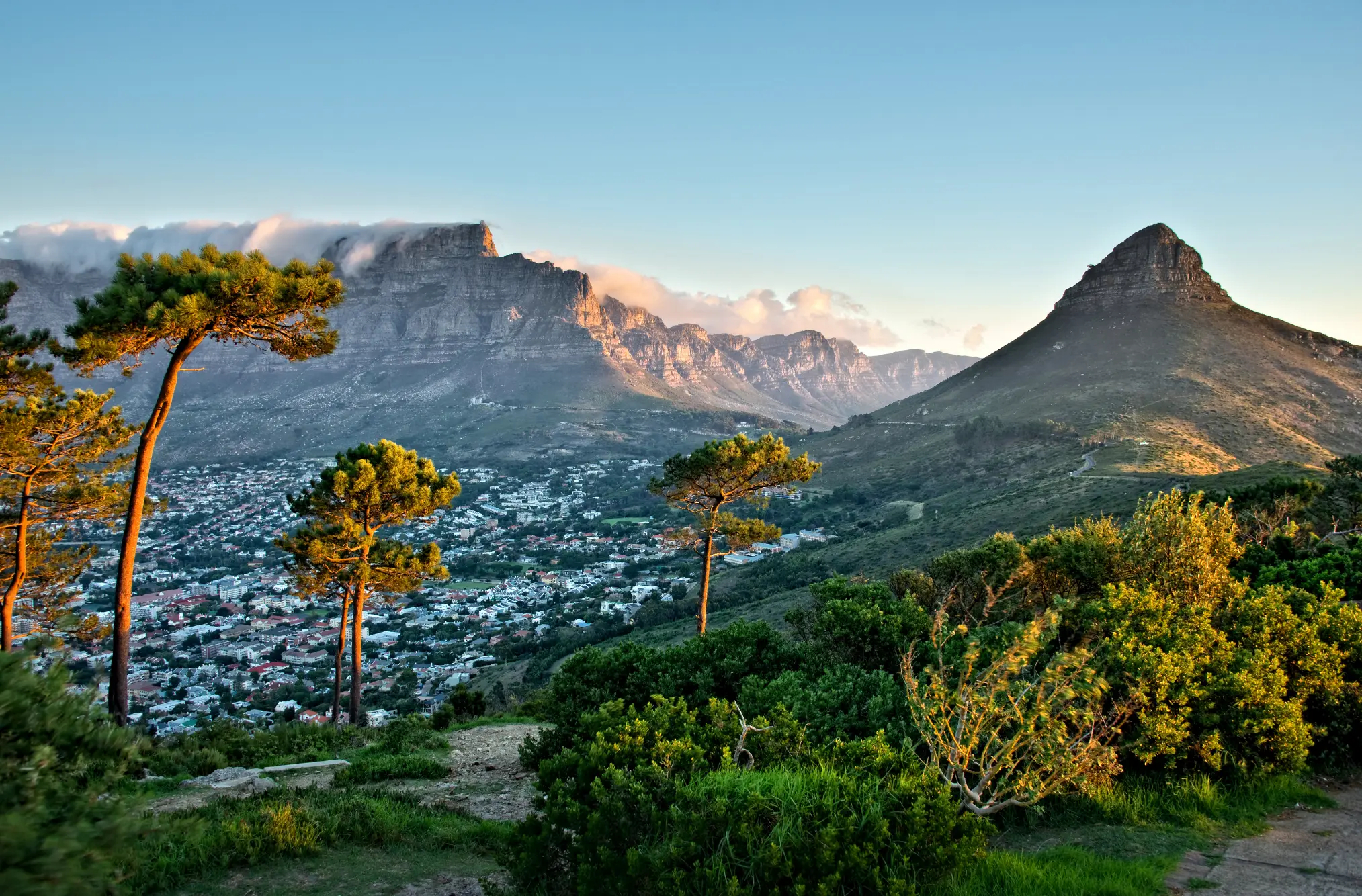 Weinberge in Südafrika, Durbanville – Herkunft der Diemersdal Weine