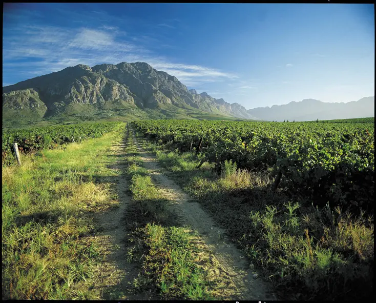 Weinberge in Südafrika, Tulbagh – Herkunft der Drostdy-Hof / Drostdy Wineries Weine