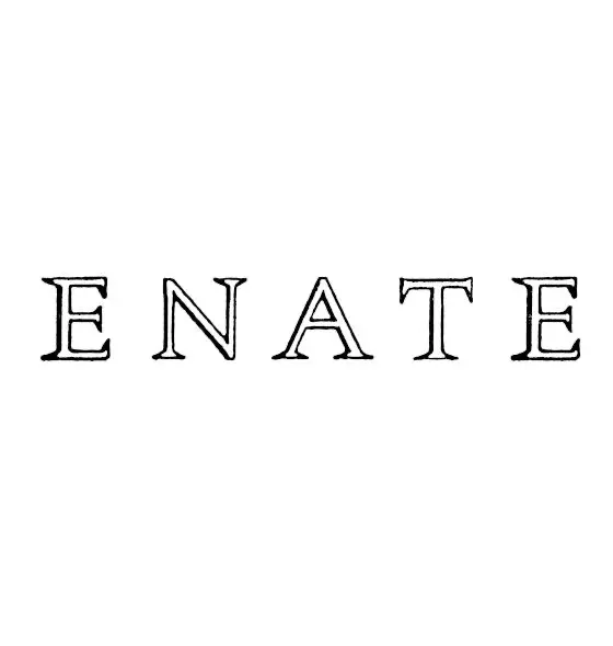 Logo des Weinguts Enate
