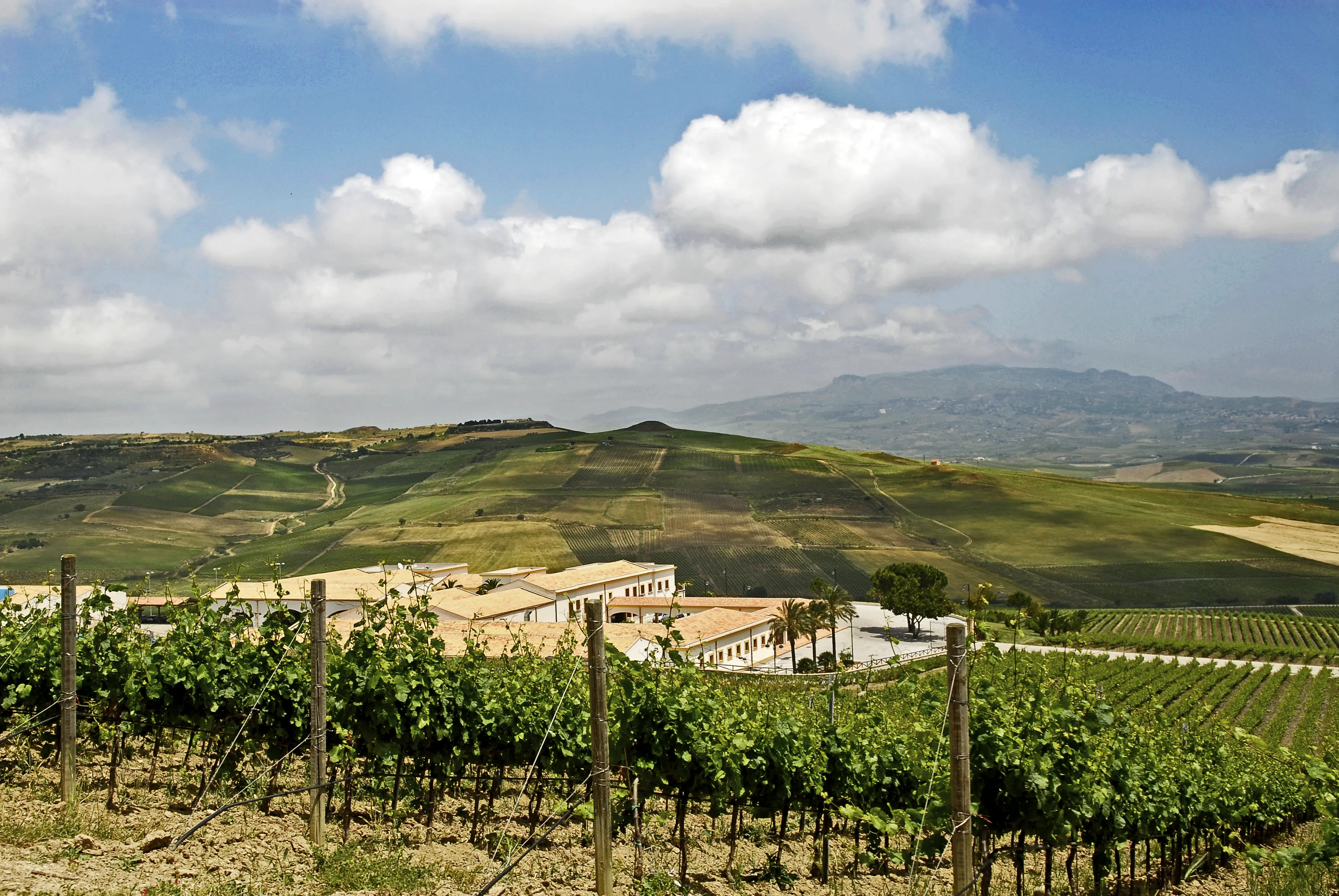 Weinberge in Italien, Sizilien – Herkunft der Feudo Arancio Weine