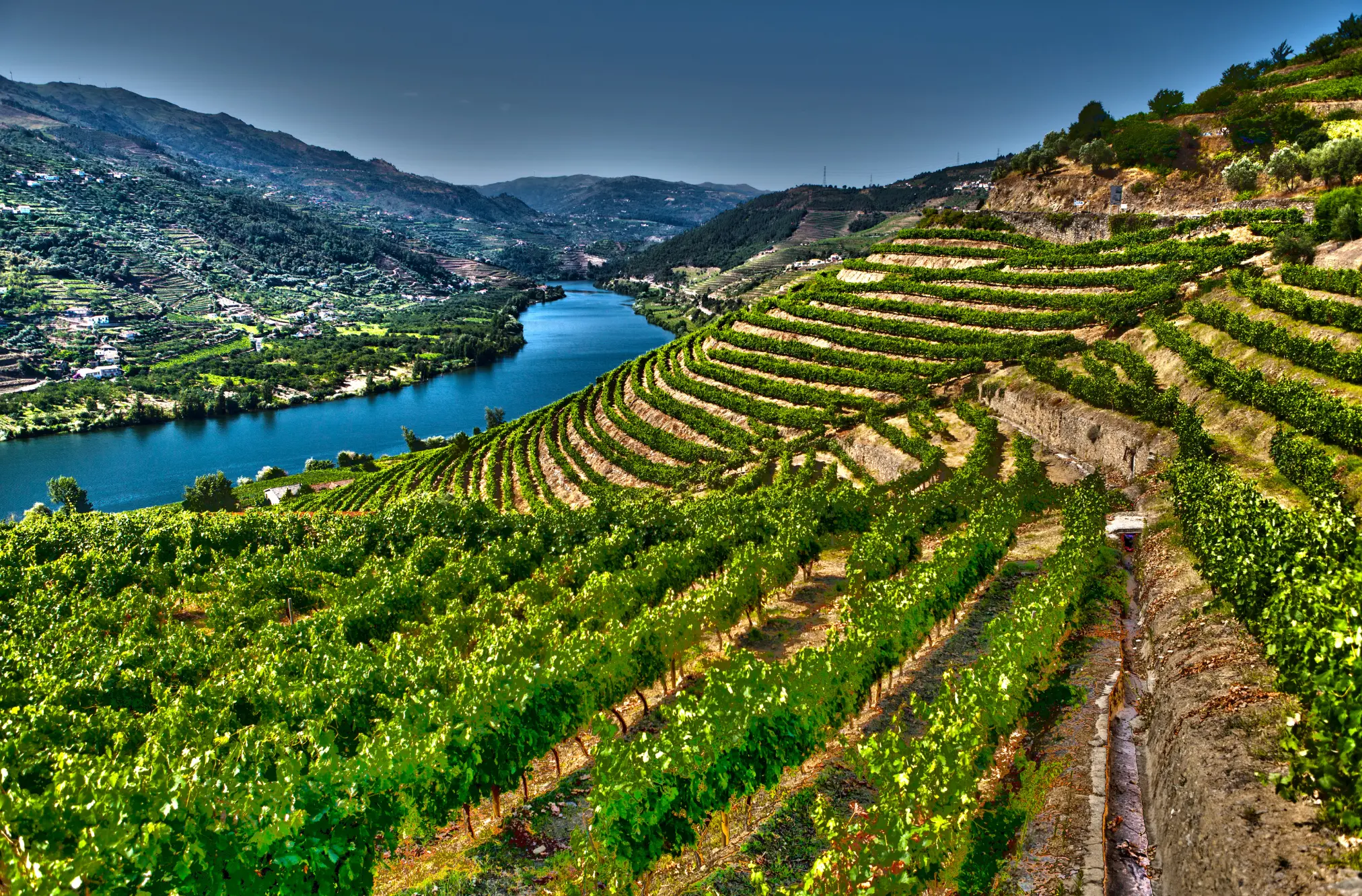 Weinberge in Portugal, Douro – Herkunft der Jose Maria da Fonseca Weine