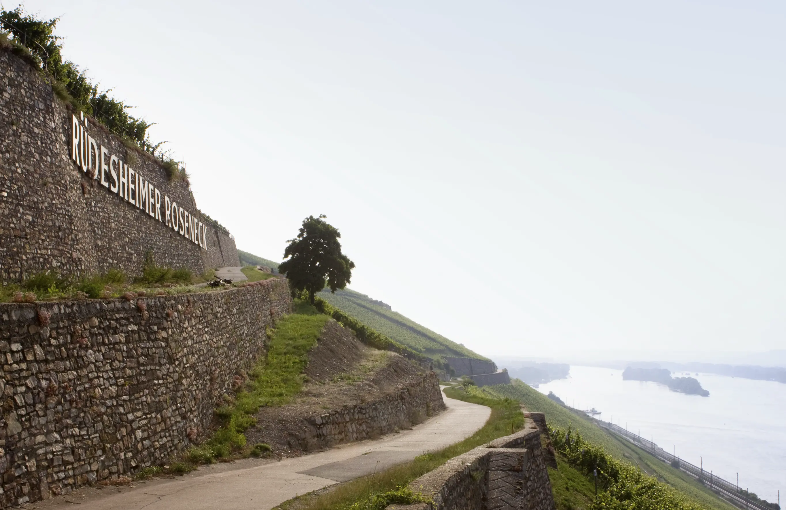 Weinberge in Deutschland, Rheingau – Herkunft der Weingut Georg Breuer Weine