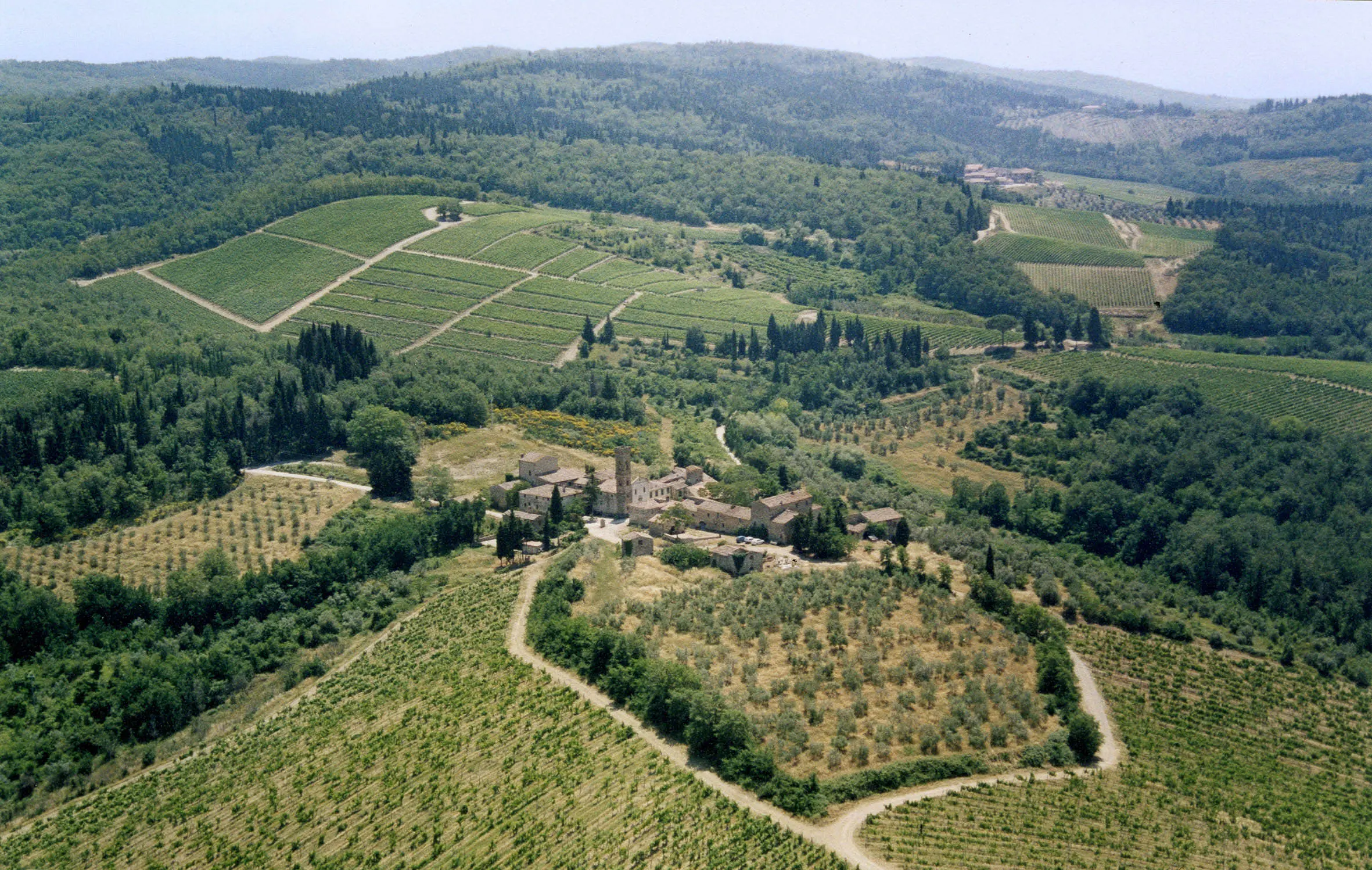 Weinberge in Italien, Toskana – Herkunft der Isole e Olena Weine
