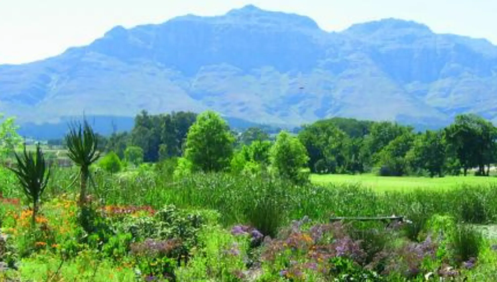 Weinberge in Südafrika, Stellenbosch – Herkunft der Kleine Zalze Weine