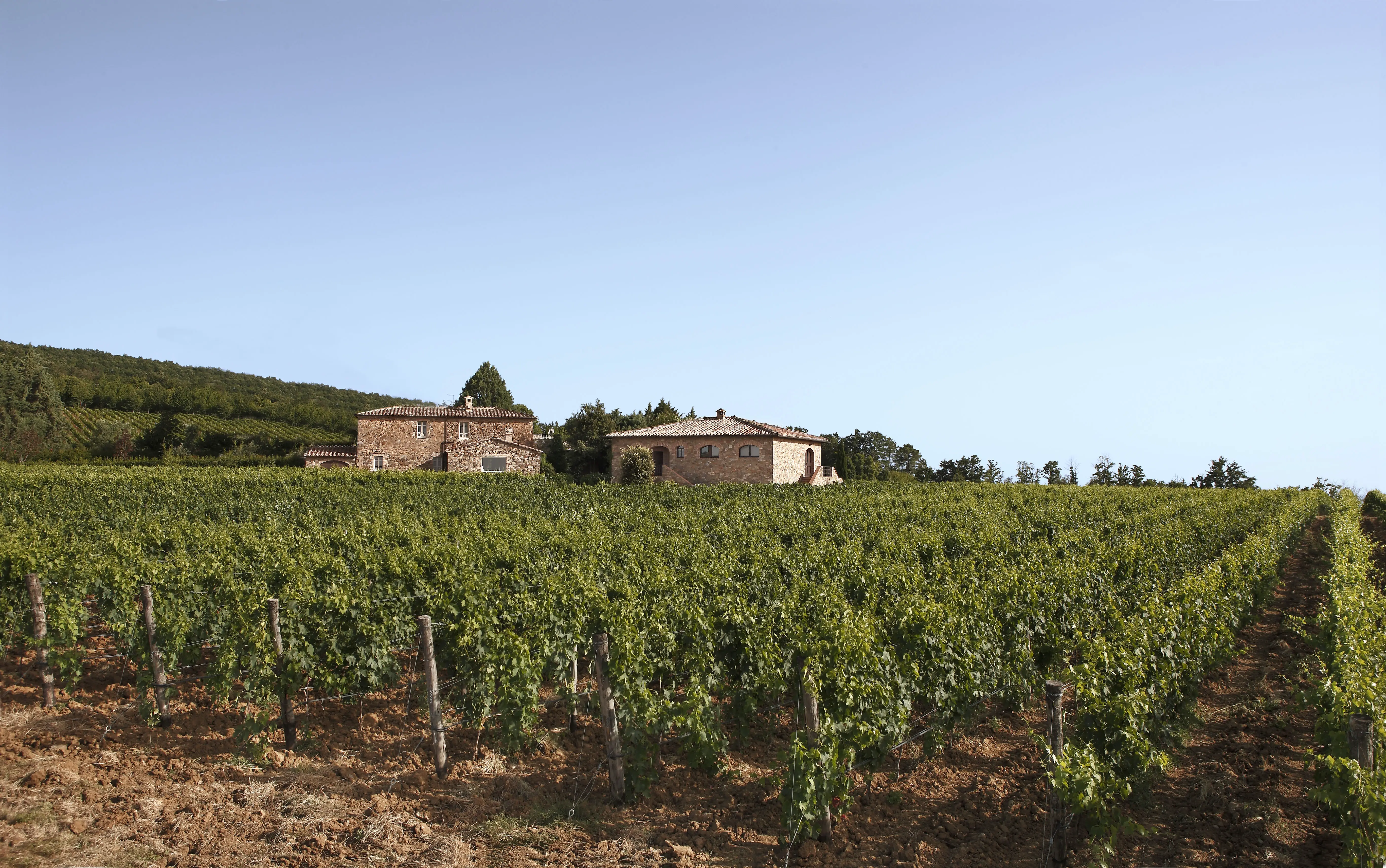 Weinberge in Italien, Toskana – Herkunft der Tenuta le Potazzine Weine