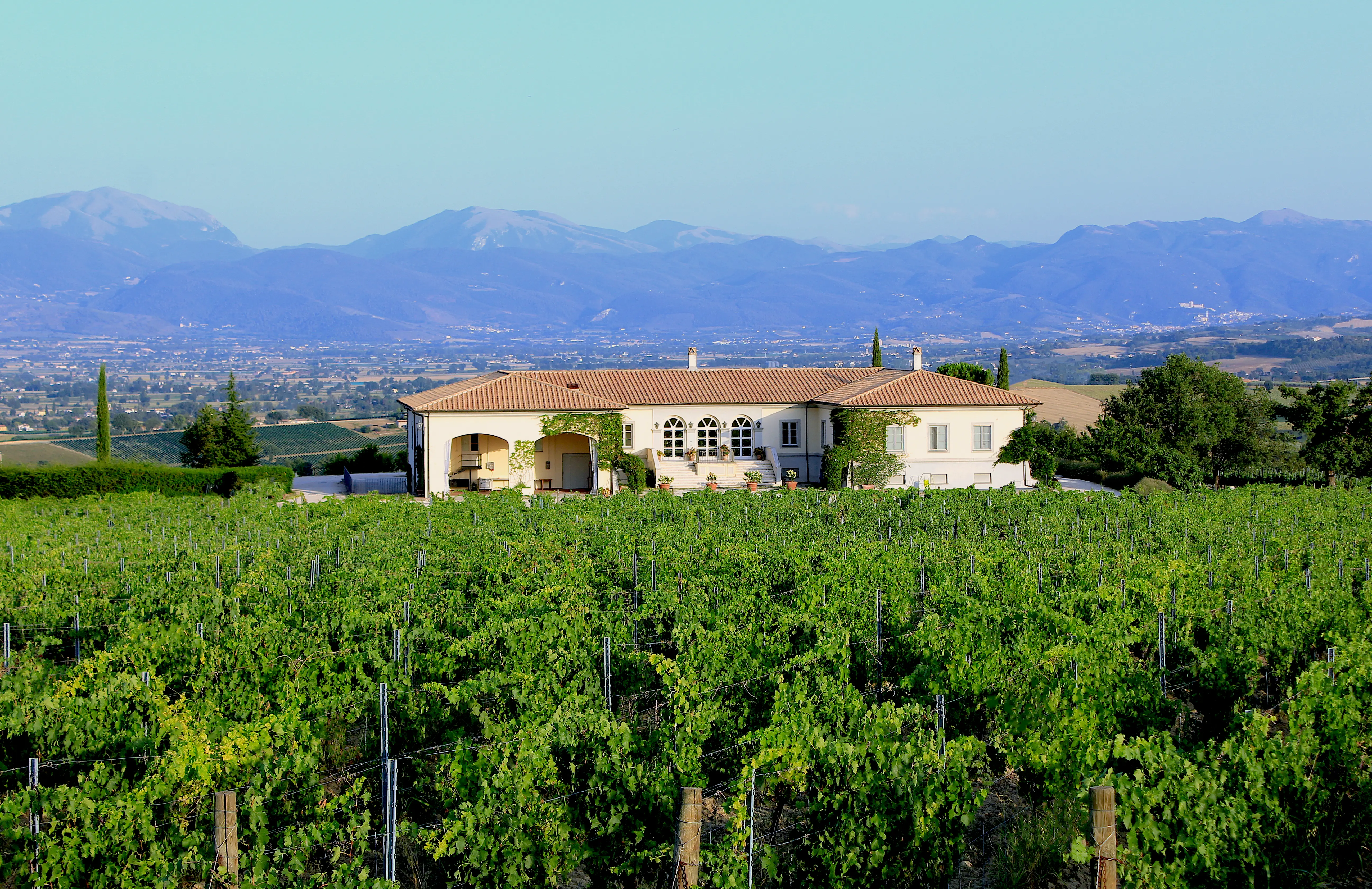 Weinberge in Italien, Umbrien – Herkunft der Lungarotti Weine