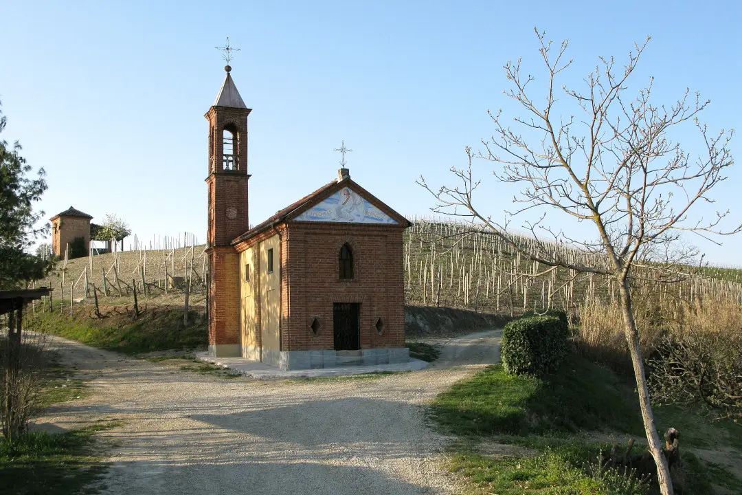 Weinberge in Italien, Piemont – Herkunft der Marco Porello Weine