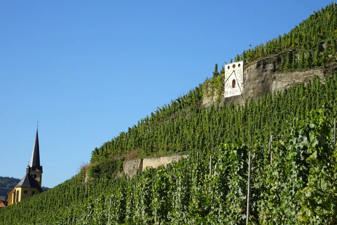 Weinberge in Deutschland, Mosel – Herkunft der Weingut Markus Molitor Weine