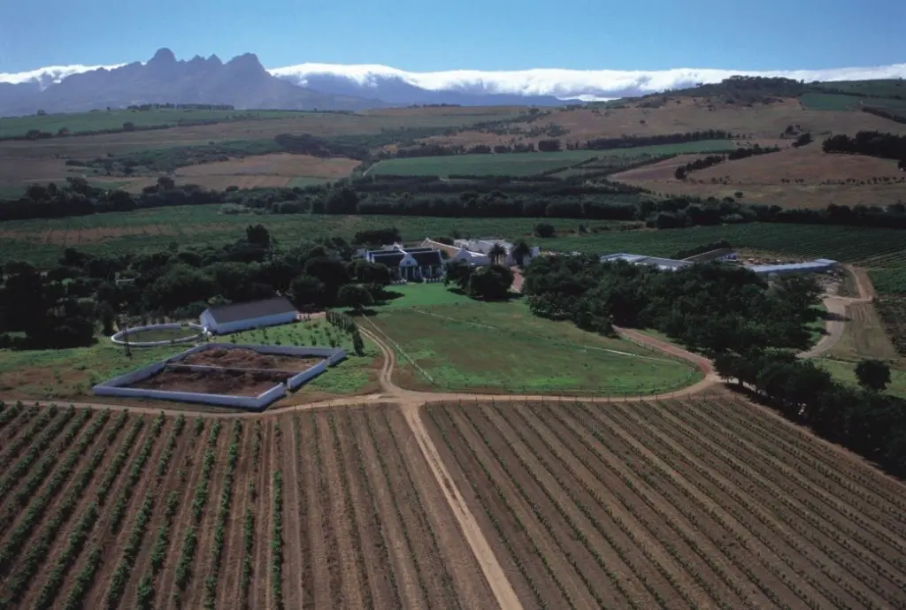 Weinberge in Südafrika, Stellenbosch – Herkunft der Meerlust Wine Estate Weine