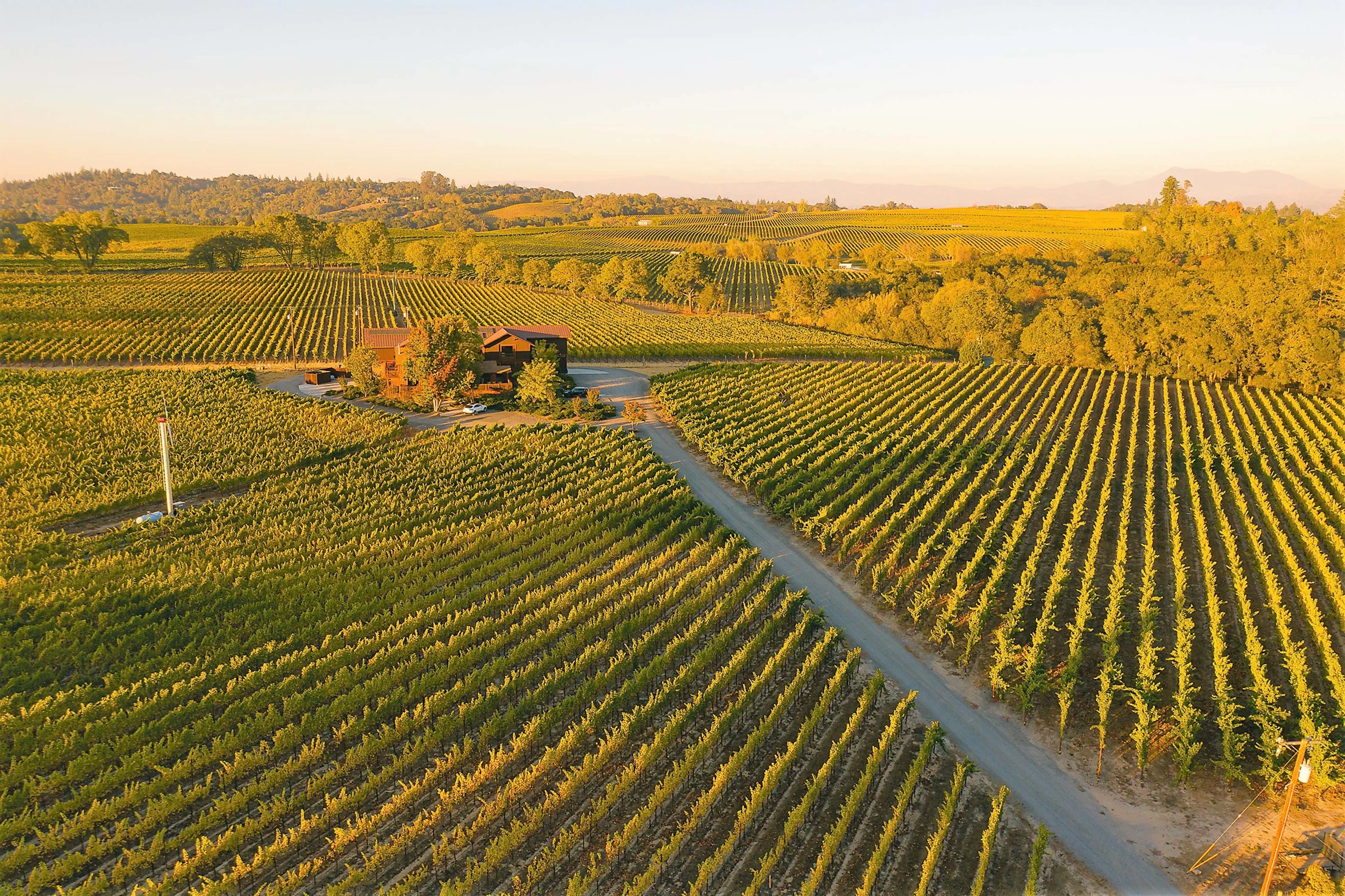 Weinberge in USA, Kalifornien – Herkunft der Merry Edwards Winery Weine