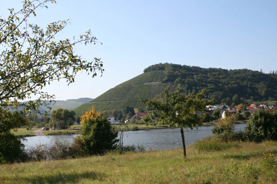 Weinberge in Deutschland, Mosel – Herkunft der Weingut Peter Lauer Weine