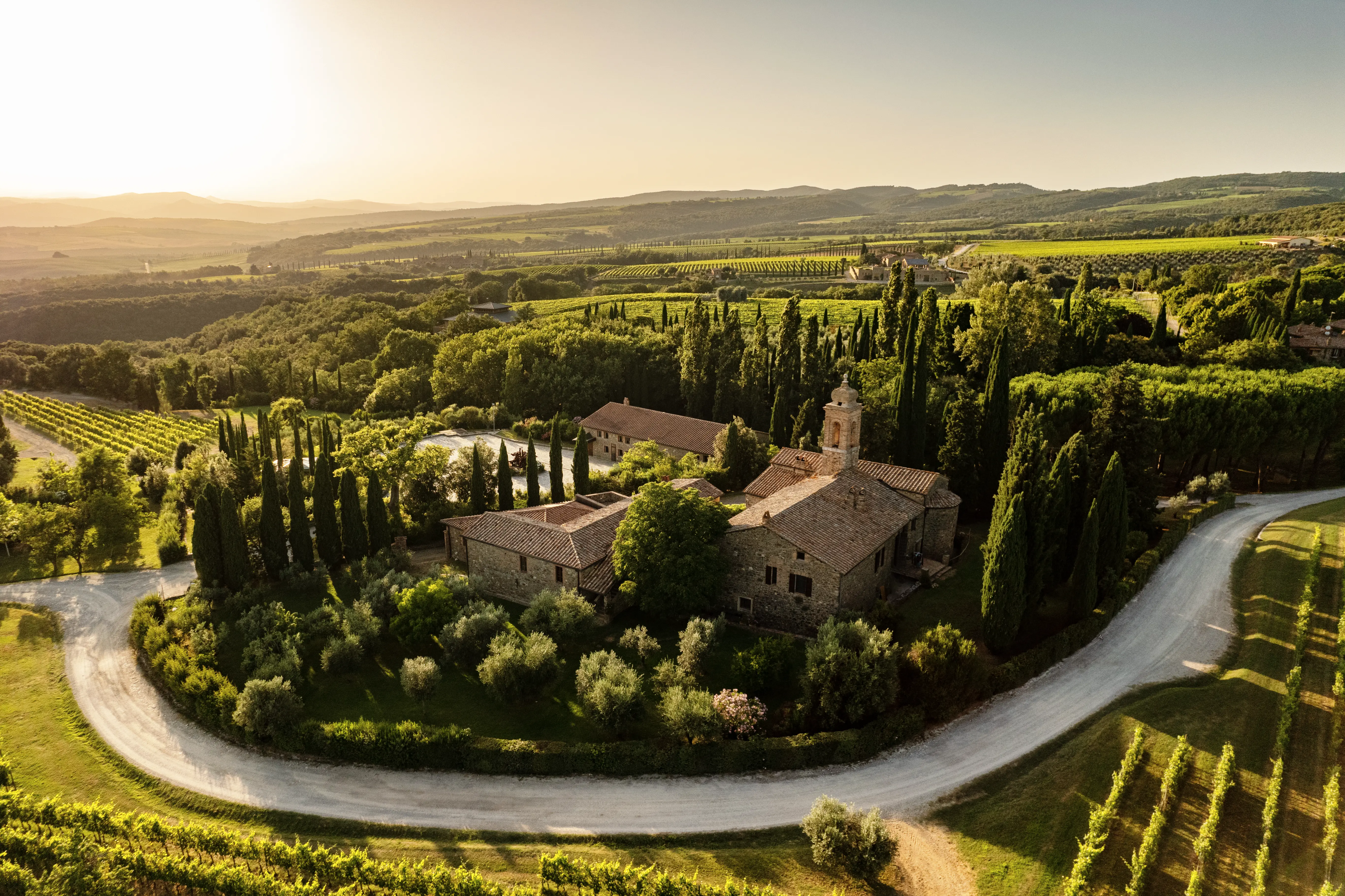 Weinberge in Italien, Toskana – Herkunft der Pieve Santa Restituta Weine