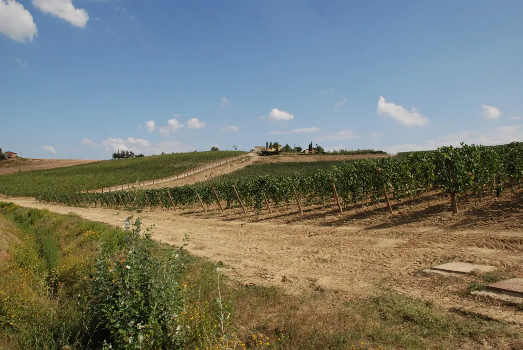 Weinberge in Italien, Toskana – Herkunft der Poggio delle Faine Weine