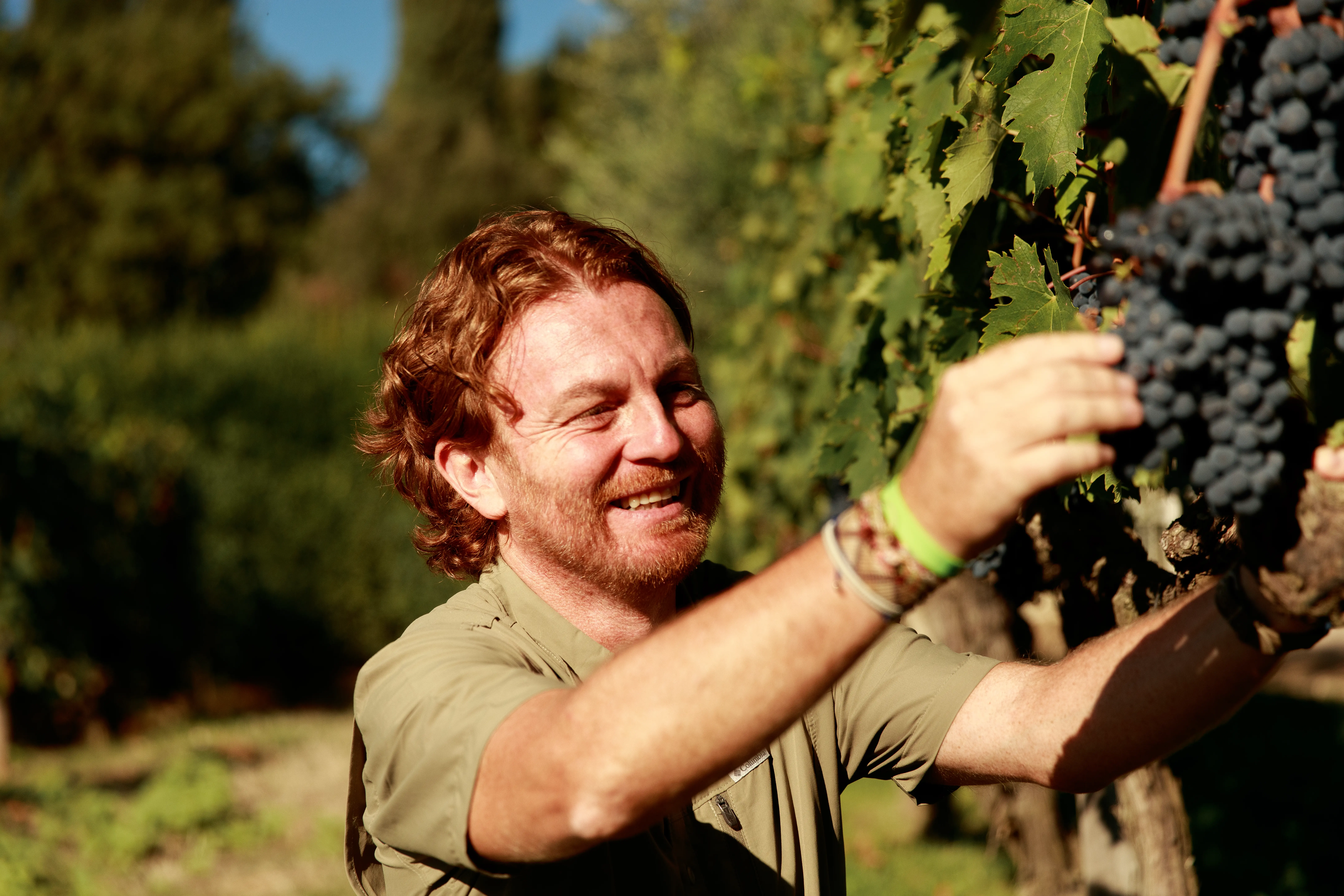 Winzer des Weingut Biondi Santi Tenuta Il Greppo in Italien, Toskana
