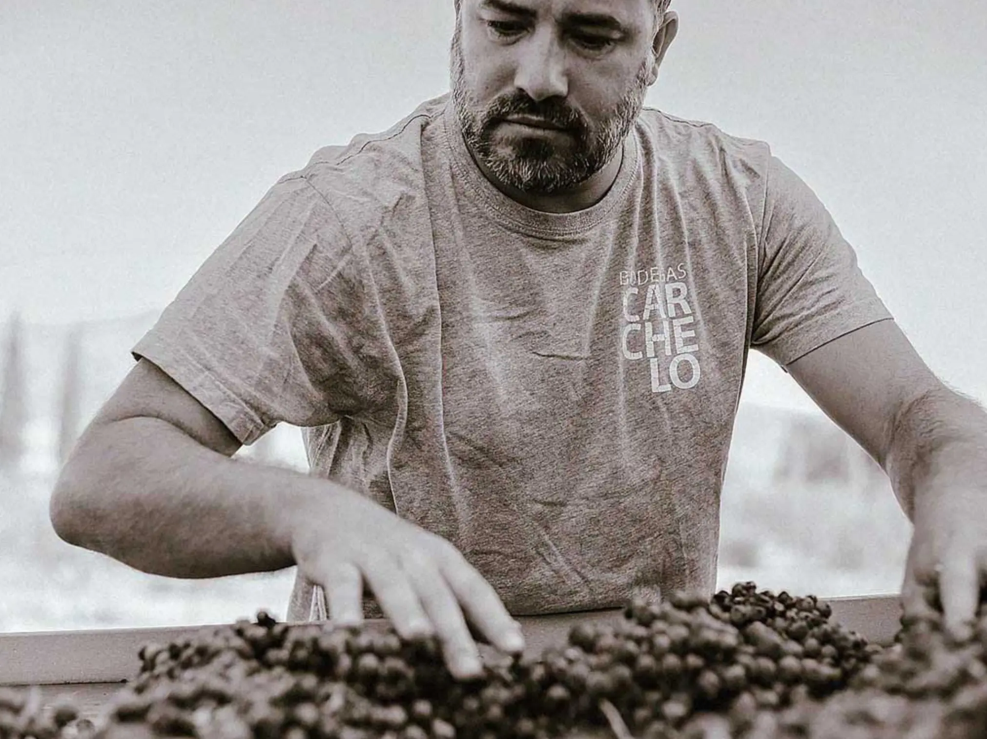 Winzer des Weingut Bodegas Carchelo in Spanien, Jumilla
