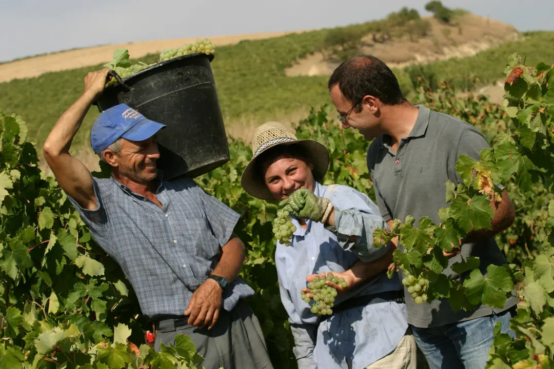 Winzer des Weingut Corte dei Mori in Italien, Sizilien